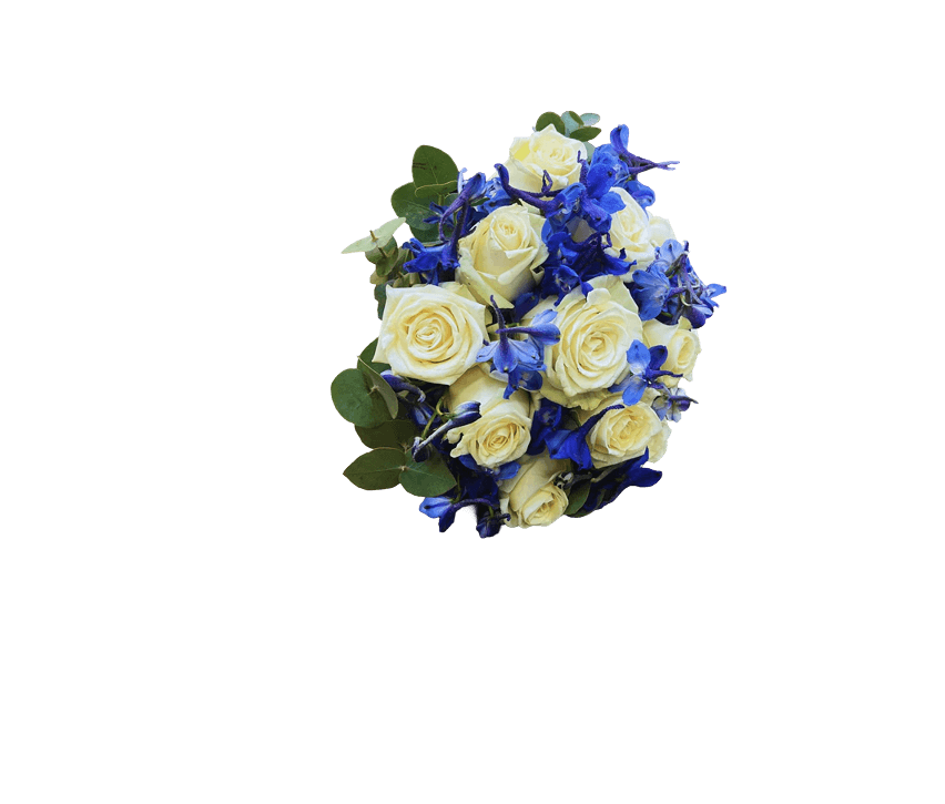 Himlens Elegance