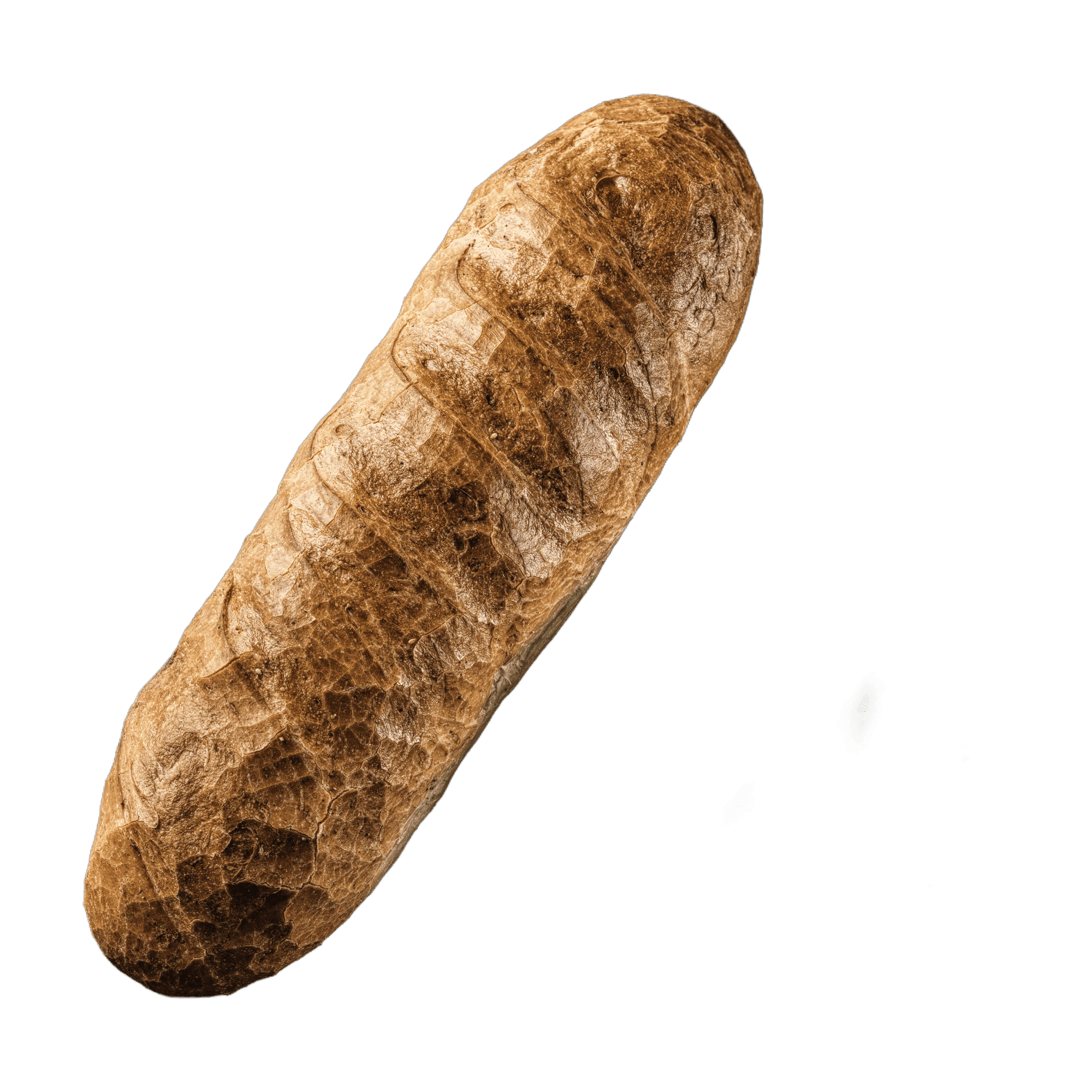 Franskbrød