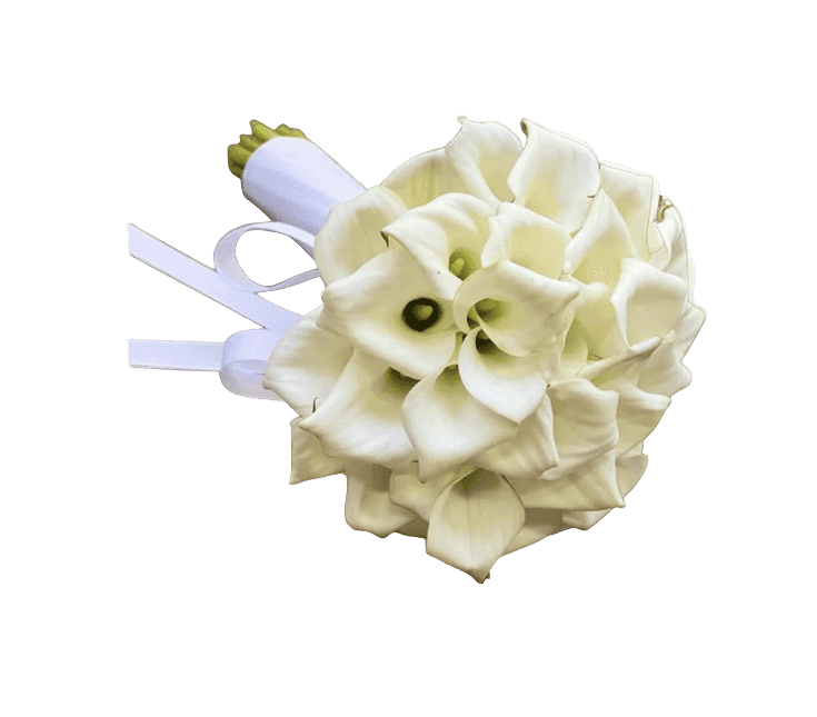 Ren Calla Elegance