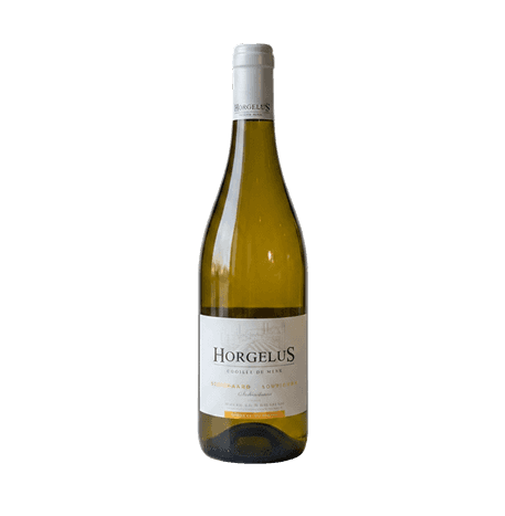 Colombard-Sauvignon Gascogne 2022